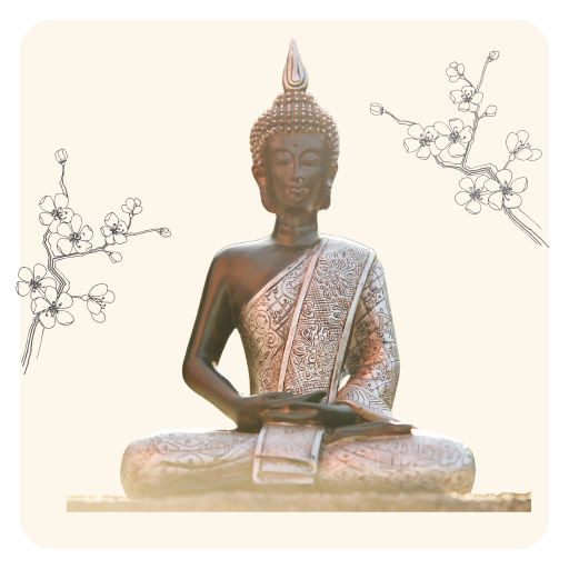 Meditation Trainer