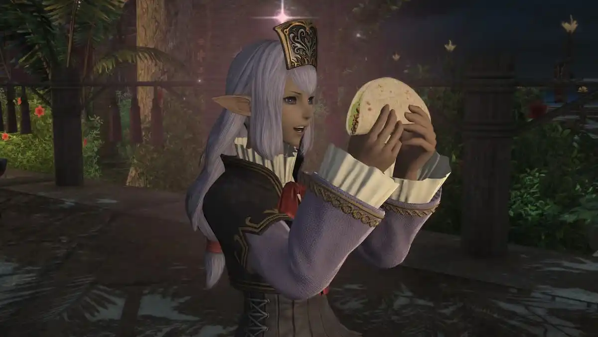 ffxiv：Vana'diel的回声使我怀旧，我什至不玩FFXI